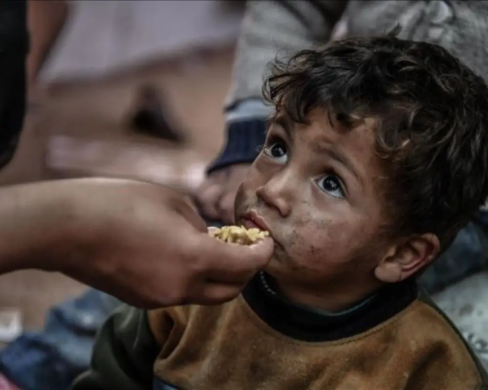 Palestine Emergency Fund